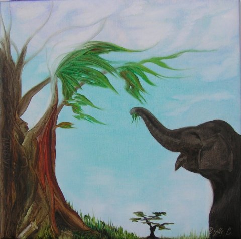 Tristan's livsbillede